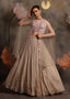 Champagne Georgette Lehenga Set