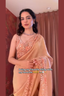 Peach Blossom Sheer Saree
