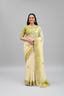 Dual-Tone Embroidered Organza Saree