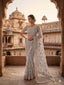 Sequin Jaal Embroidery Sheer Net Saree