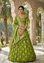 Elegant Banarasi Silk Lehenga Choli Set