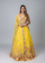 Floral Embroidered Organza Lehenga Choli Set