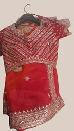 Scarlet Desire Saree (11928 B-107)