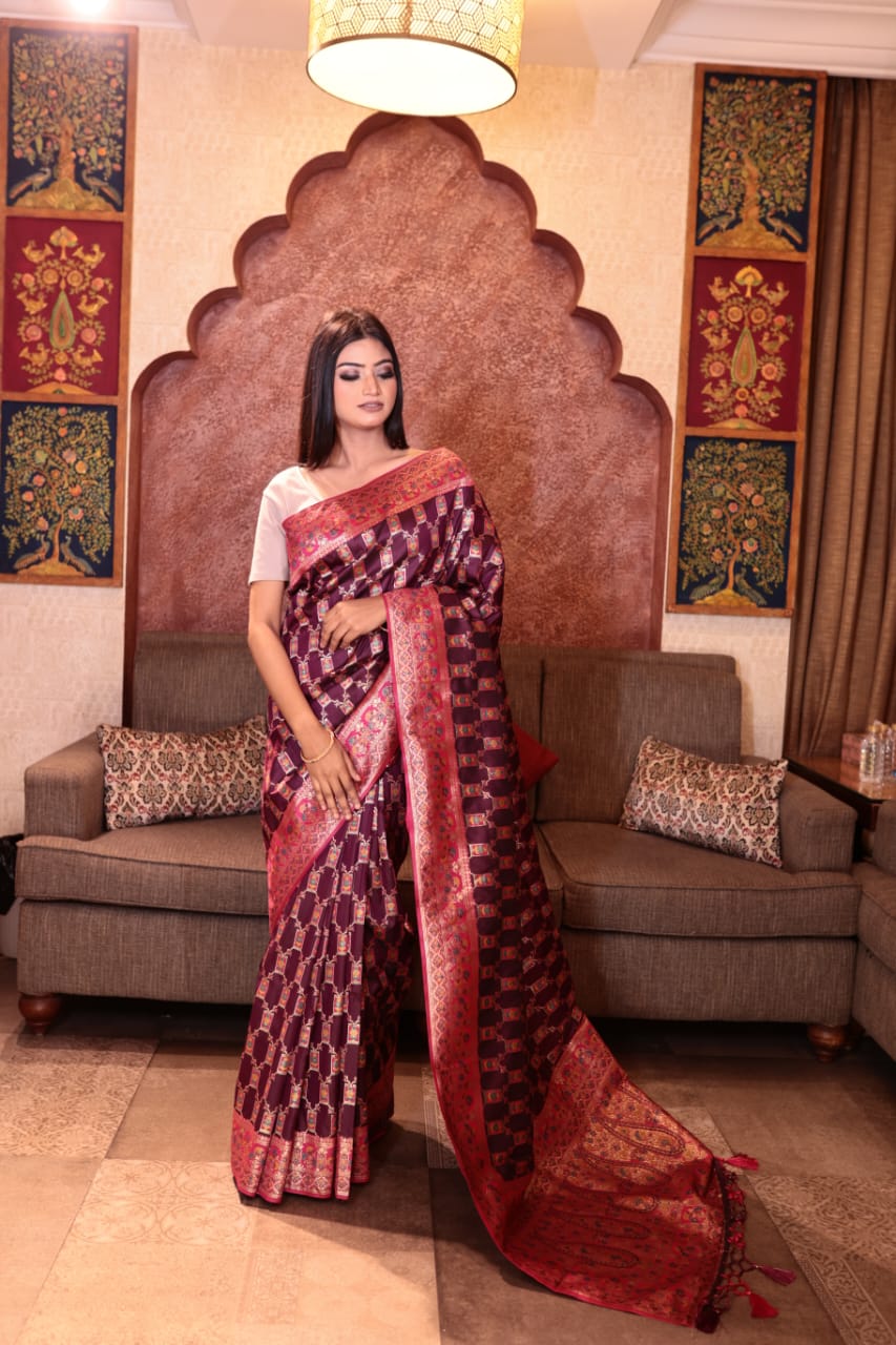 Exquisite Multi-Color Banarasi Saree