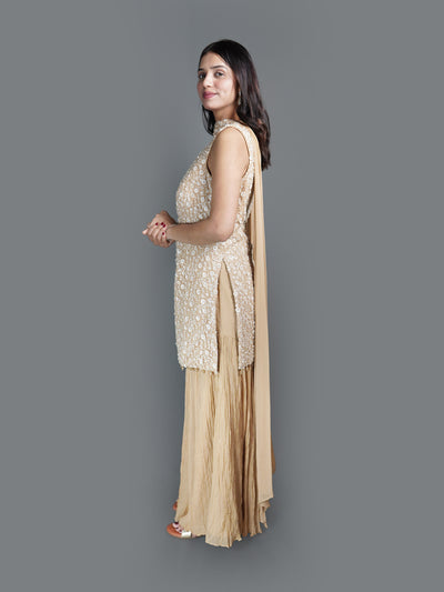 Champagne Crystal Tunic sharara Set (2214 M-13)