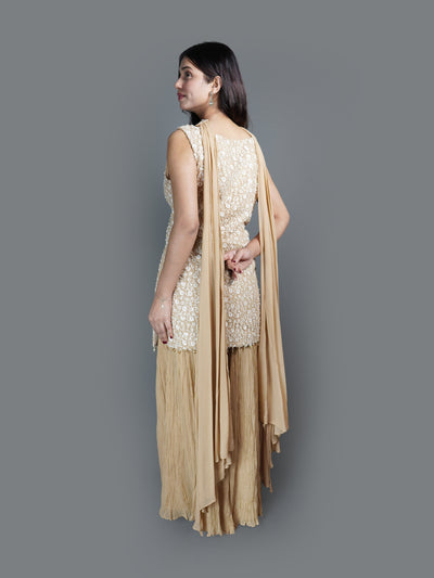 Champagne Crystal Tunic sharara Set (2214 M-13)