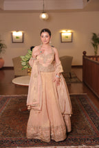 Champagne Gold Crinkle Lehenga (MIRA CHOLI M-91)