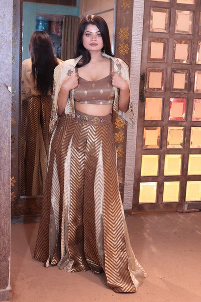 Contemporary Chevron Skirt and Cape Ensemble (MISHRI M-91)