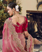 Elegant Embroidered Organza Saree