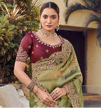 Elegant Embroidered Organza Saree