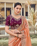 Designer Shimmer Saree