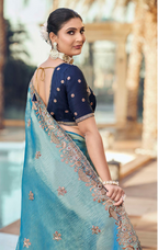 Designer Shimmer Saree