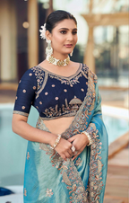 Designer Shimmer Saree