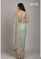 Pastel Green Embellished Saree (A-641 B-181)