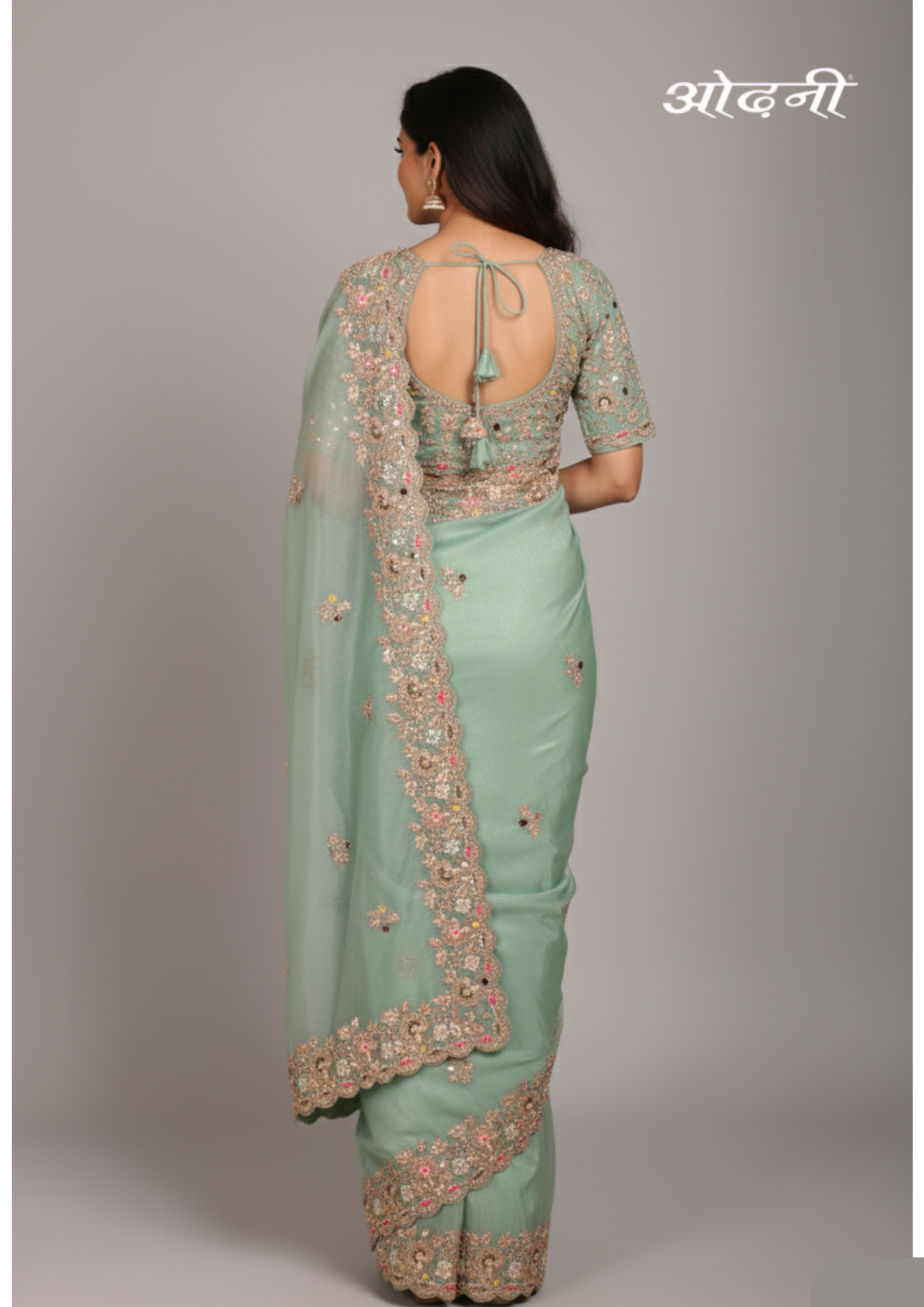 Pastel Green Embellished Saree (A-641 B-181)