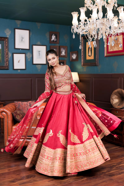 Breathtaking Red and Gold Peacock Lehenga (D-72)