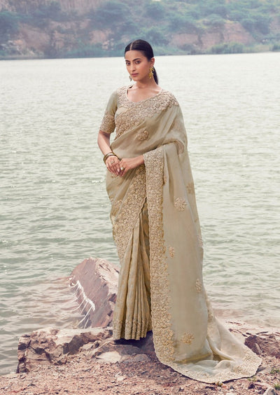 Elegant Beige & Gold Heavily Embroidered Saree (8602 GS-133)