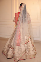 Diamond lattice Lehenga (b-37)