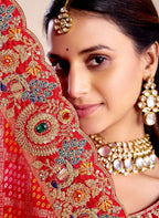 Vaidehi Bandhej Royal Saree