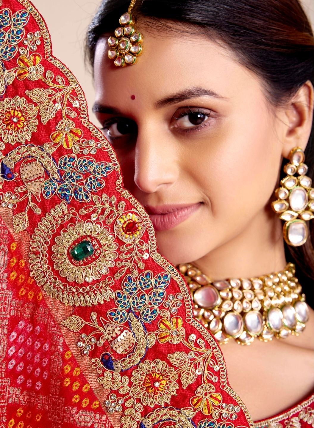 Vaidehi Bandhej Royal Saree