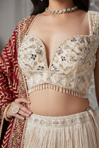 Hand-Embellished Pleated Lehenga Set