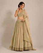 Sequin & Mirror-Work Lehenga Choli