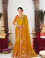 Dual-Tone Organza Saree with Floral Hand-Embroidery