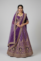 Baingani Begum Velvet Lehenga
