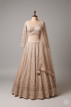 Champagne Gold Regal Lehenga (P-2001 D-17)