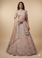 Champagne Circle Flare Lehenga