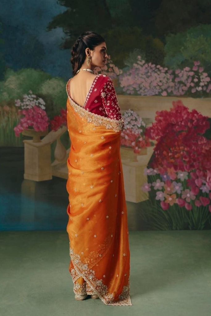 Amber Glow tissue Saree