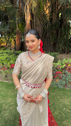 Pastel Masterpiece Saree