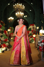Vibrant Multi-Panel Lehenga Ensemble (L-87 D-84)