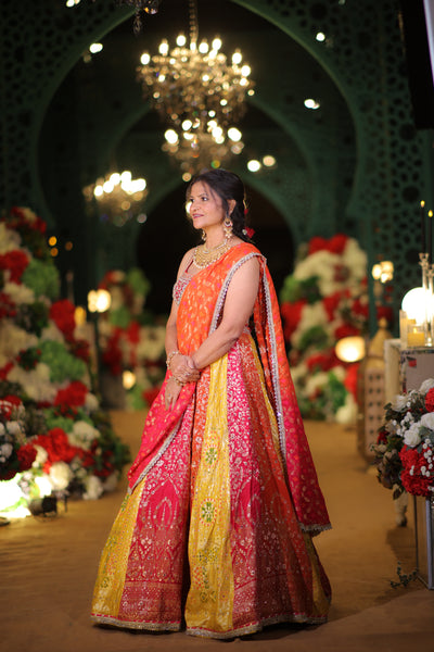 Vibrant Multi-Panel Lehenga Ensemble (L-87 D-84)