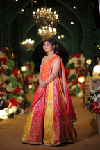 Vibrant Multi-Panel Lehenga Ensemble (L-87 D-84)