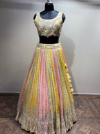 Pastel Yellow & Pink Mirror Work Panel Lehenga (D-1 D-80)