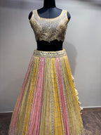 Pastel Yellow & Pink Mirror Work Panel Lehenga (D-1 D-80)