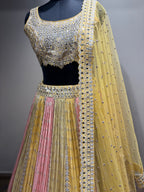 Pastel Yellow & Pink Mirror Work Panel Lehenga (D-1 D-80)