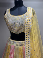 Pastel Yellow & Pink Mirror Work Panel Lehenga (D-1 D-80)