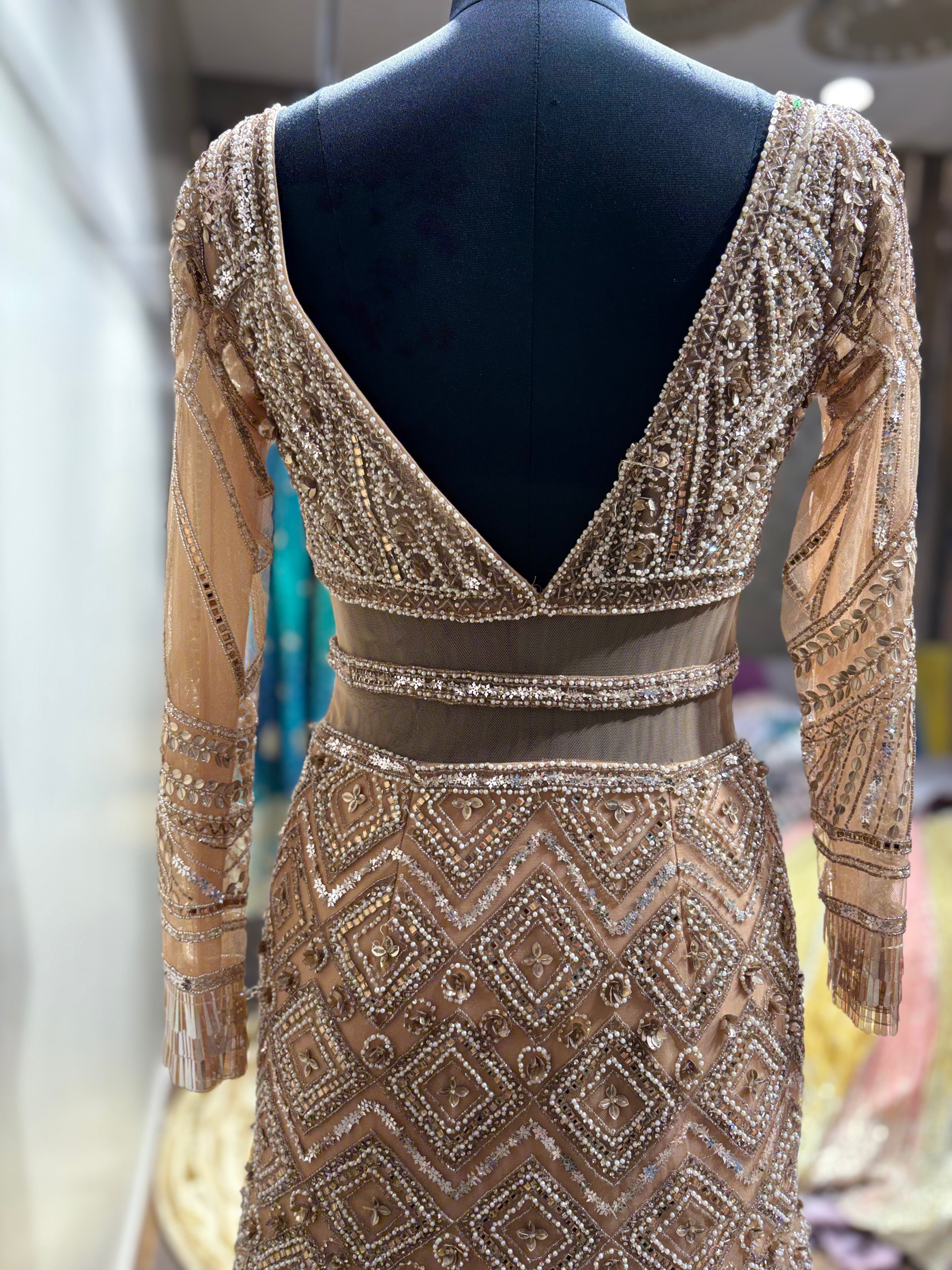 Beige Geometric Crystal Embellished Gown (NCN-1852 D-5)