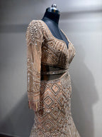 Beige Geometric Crystal Embellished Gown (NCN-1852 D-5)