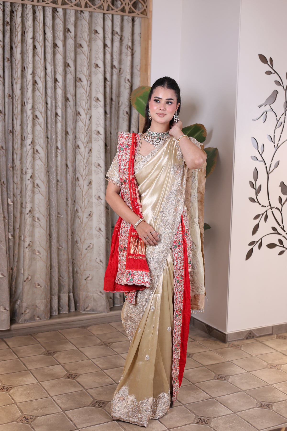 Chikoo Silk Saree with Rich Embroidered Border Main image