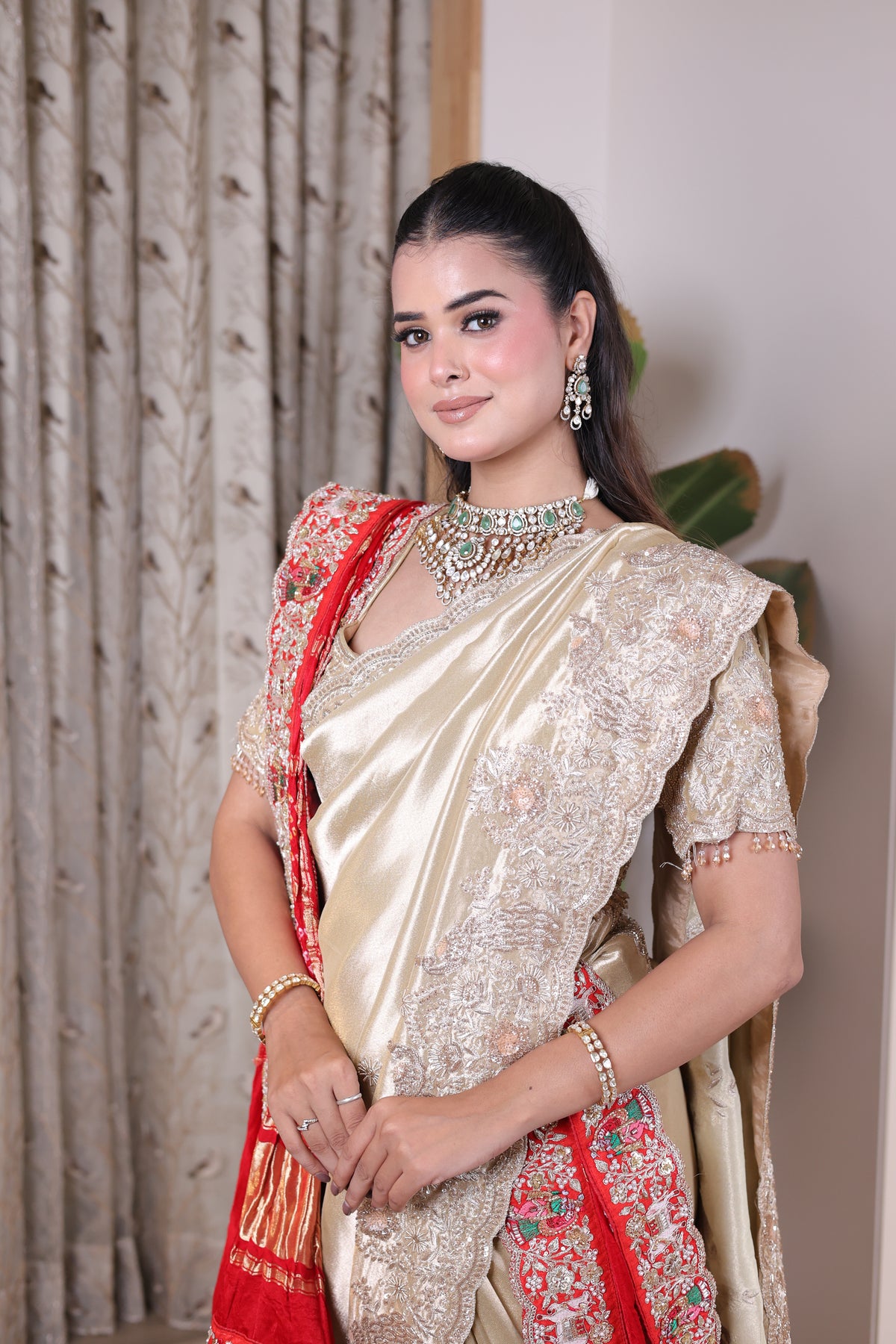 Chikoo Silk Saree with Rich Embroidered Border