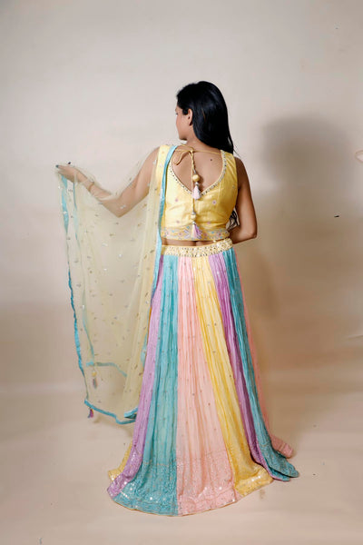 full back look of multicolor silk lehenga