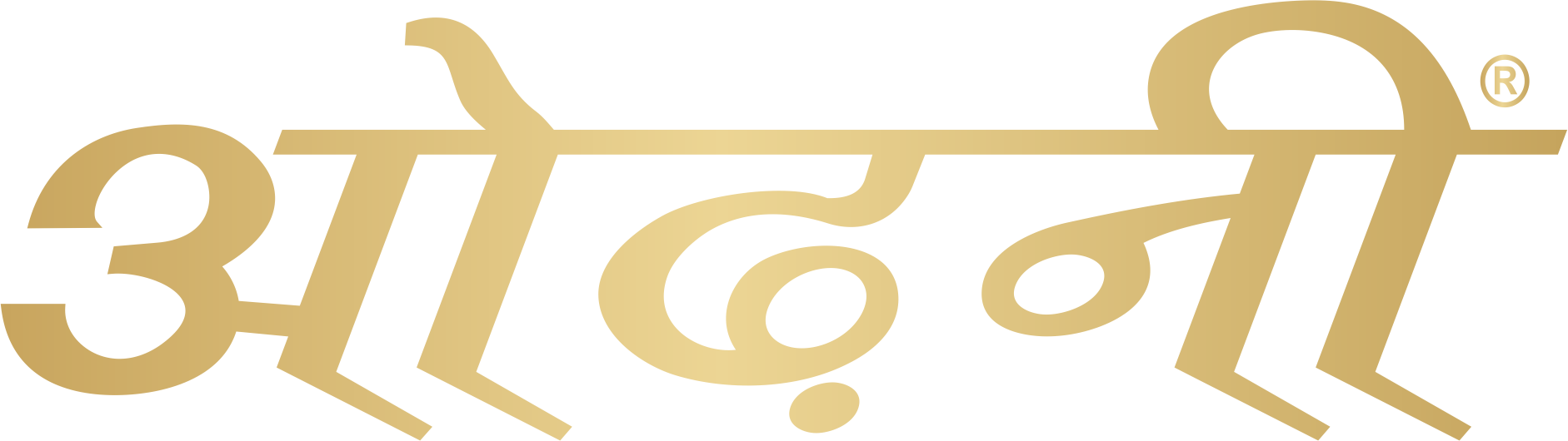 ODHNI logo
