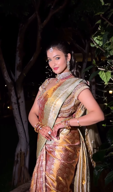 Opulent Banarasi Silk Saree