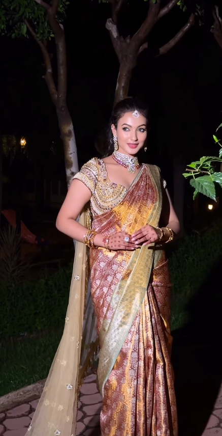 Opulent Banarasi Silk Saree