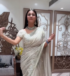 Diamond Dust Sequin Saree (740-A D-1)