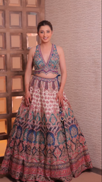 Exquisite multi-colored lehenga choli (C862 M-98)