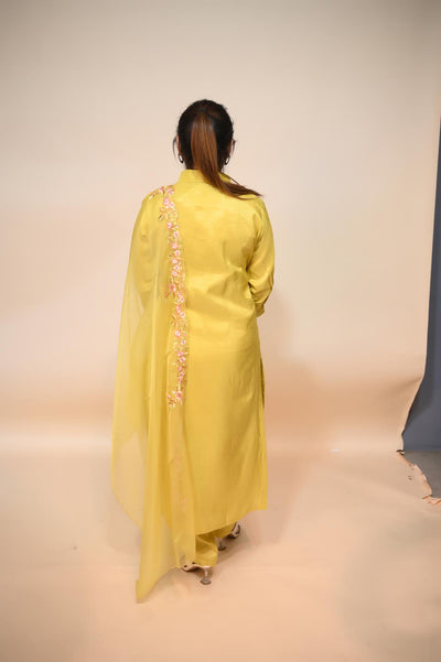full back look of light yellow crepe suit